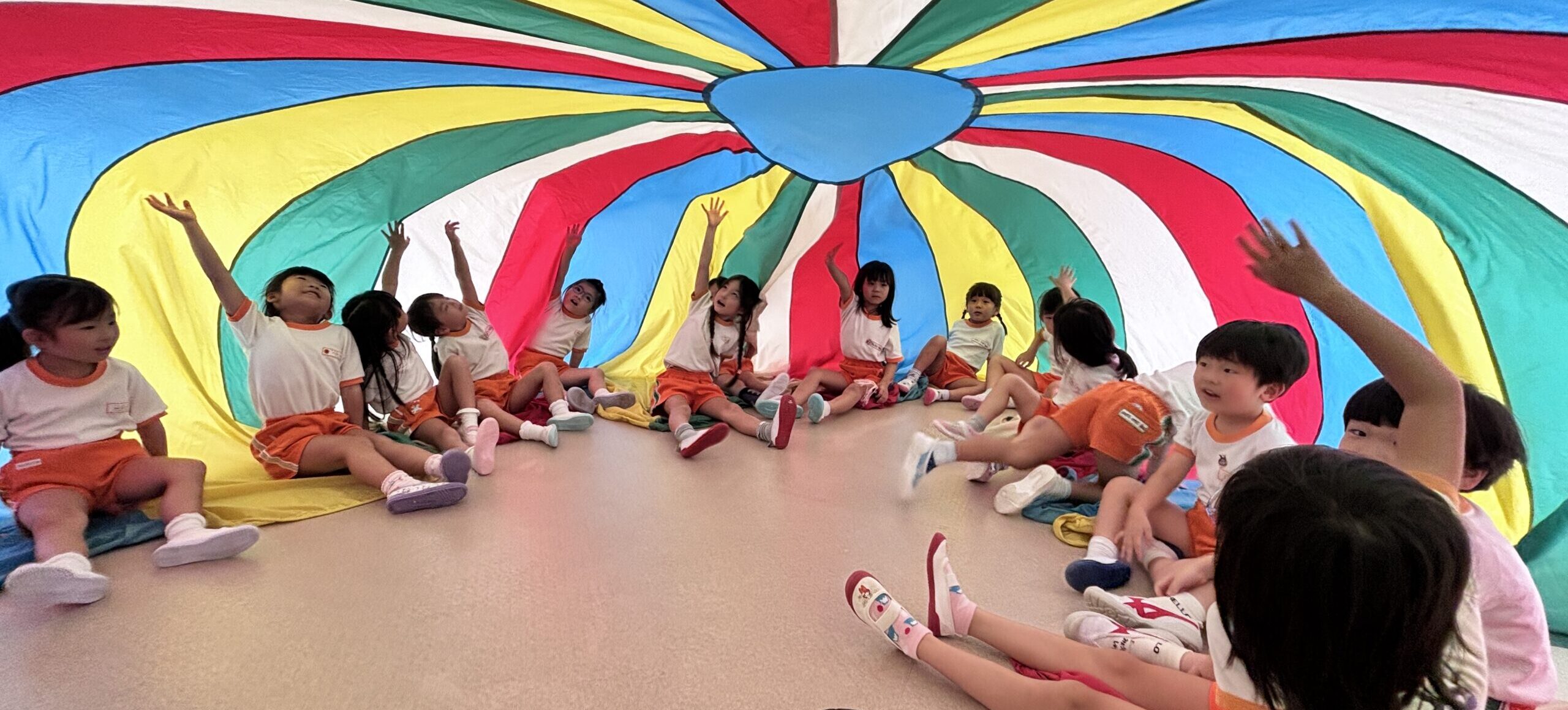 🌹今週のばら組🌹