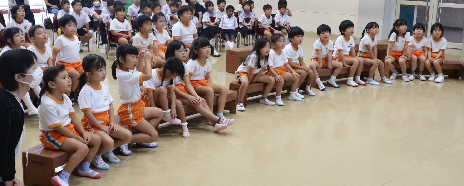 🌹今週のばら組🌹